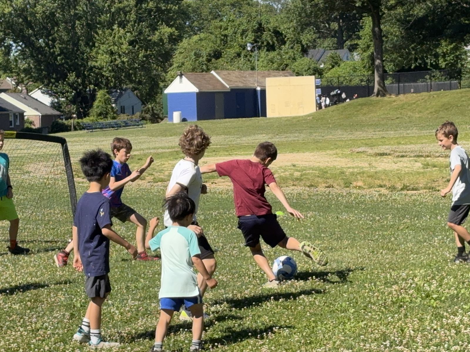 Joey with picture perfect kicking form