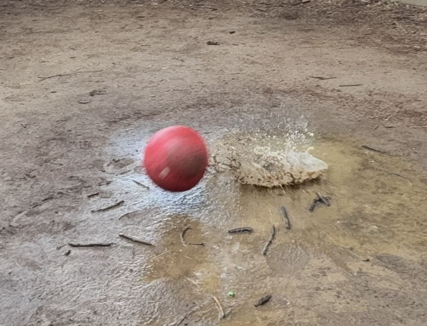 Today's big winner - the Gaga puddle