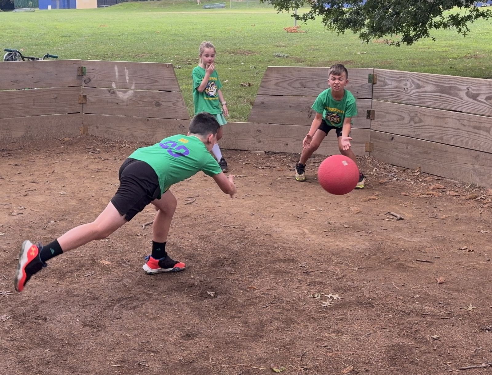 When siblings attack
